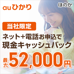 【250×250】株式会社NEXT／auひかり