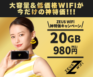 【300×250】【ZEUS WiFi】2,980円/月～動画ドバドバ見放題！/株式会社Wiz