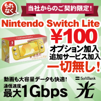 SoftBank光 Switch Lite