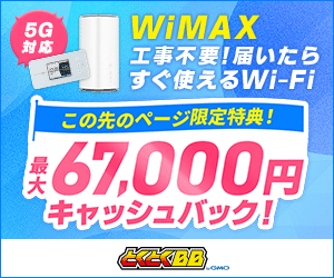 【300×250】GMOとくとくBB WiMAX +5G（ホームルーター）