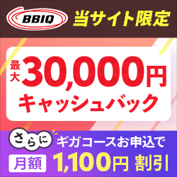 【250×250】株式会社NEXT／BBIQ（ビビック）