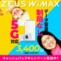 【120×60】株式会社Human Investment 　ZEUS WiMAX