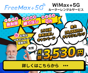 データ容量完全無制限！【FreeMax+5G】利用モニター