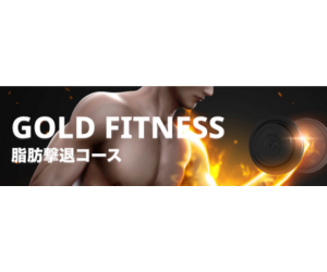 GOLD FITNESS